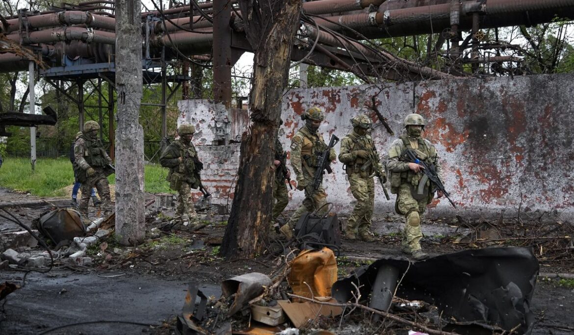 Kyiv says mouse fever breaking out among Russian troops in trenches