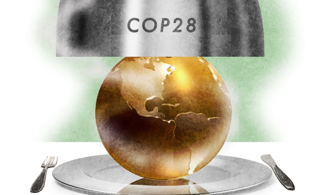 Let them eat chicken: The insanity of U.N.'s latest climate summit