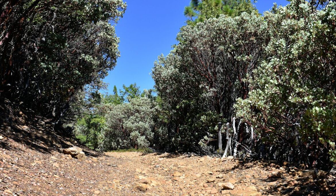 Michigan woman who disappeared while hiking in California found dead