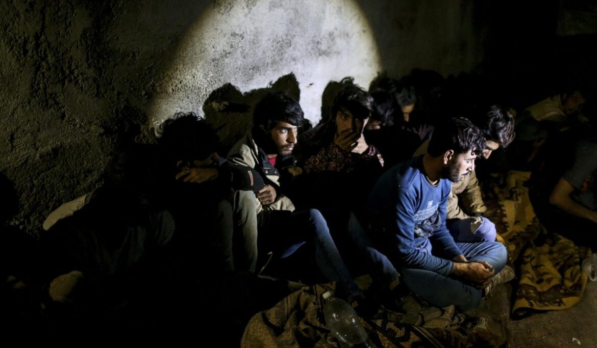 Migrants may risk organ trafficking on way to U.S.