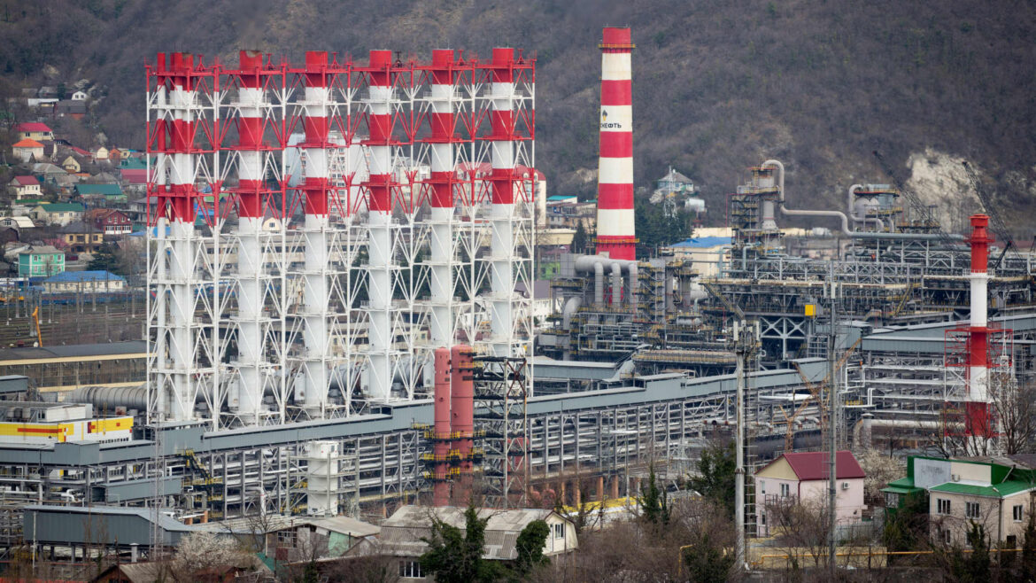 Oil prices set to rise in 2024 after OPEC+ voluntary cuts