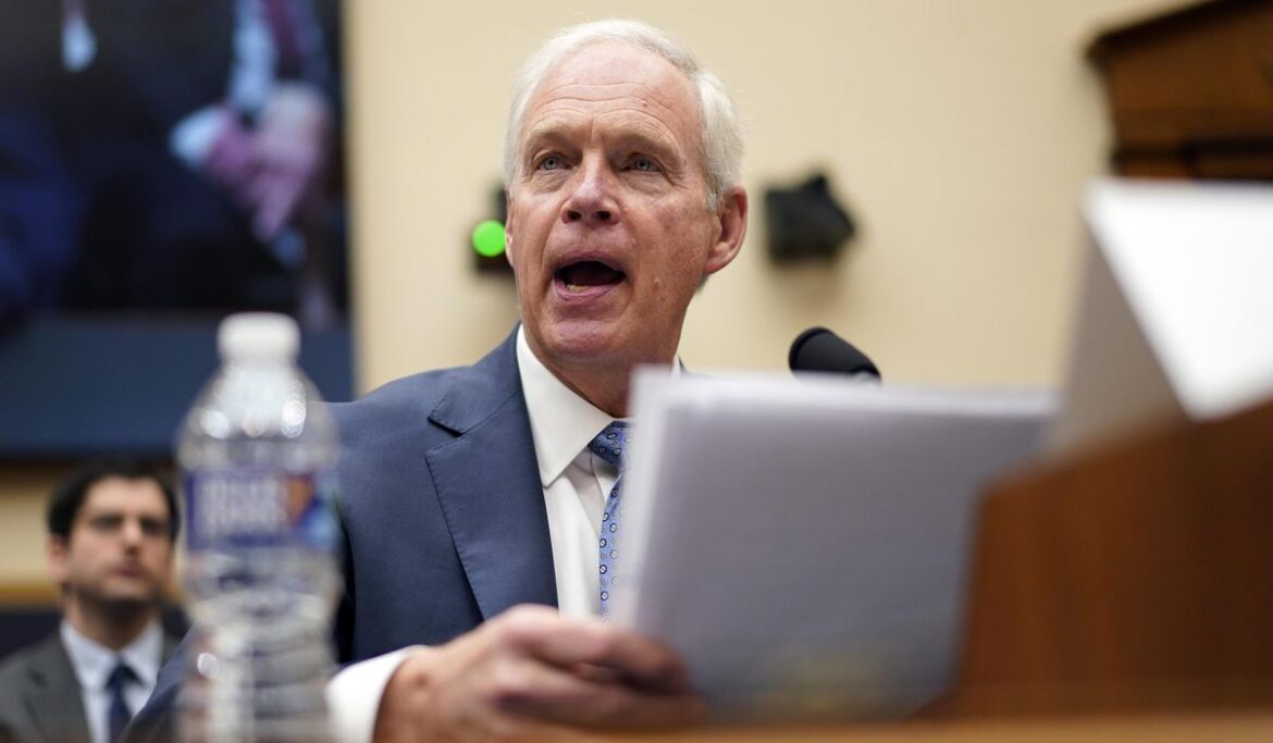 Ron Johnson says Democrats open to border security because it poses 'threat' to Joe Biden reelection