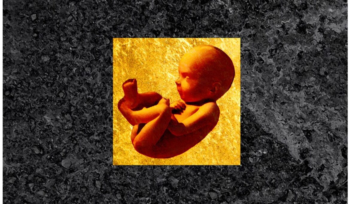 Seeing is believing: How understanding fetal development can protect iife