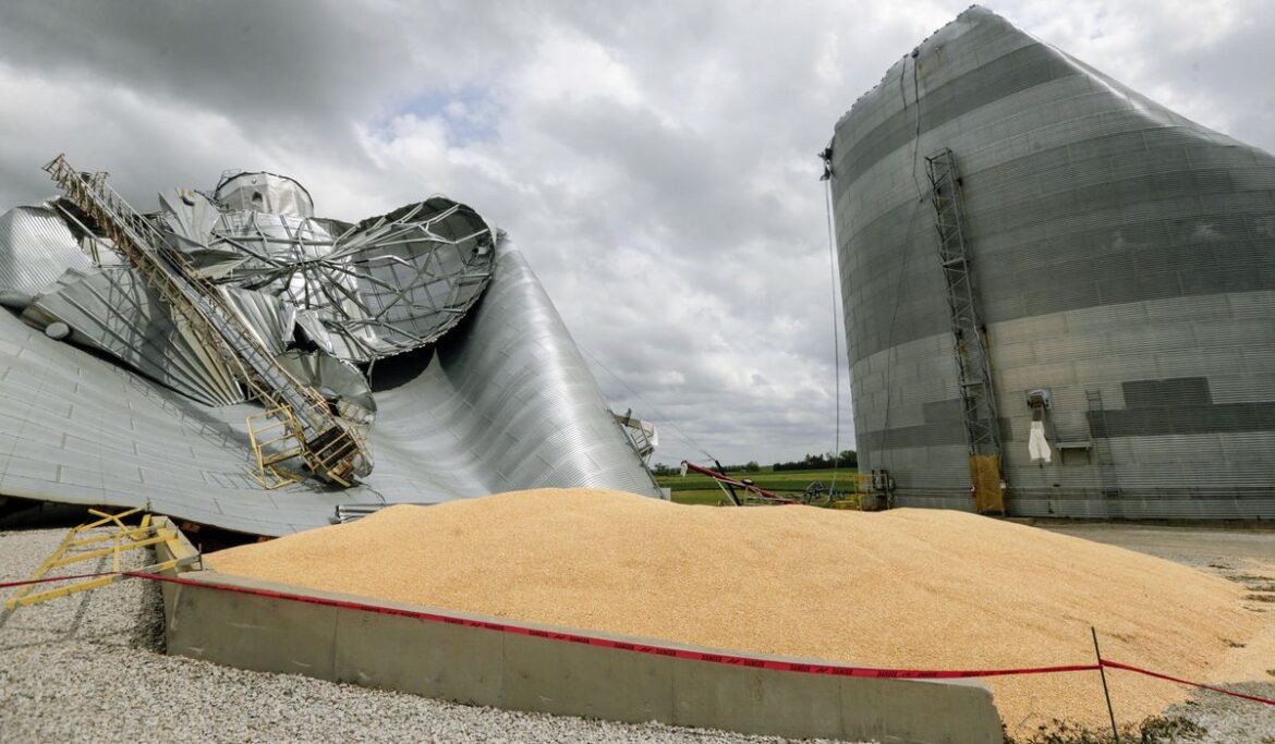 Tennessee farmer stuck up to his neck in a grain bin successfully rescued