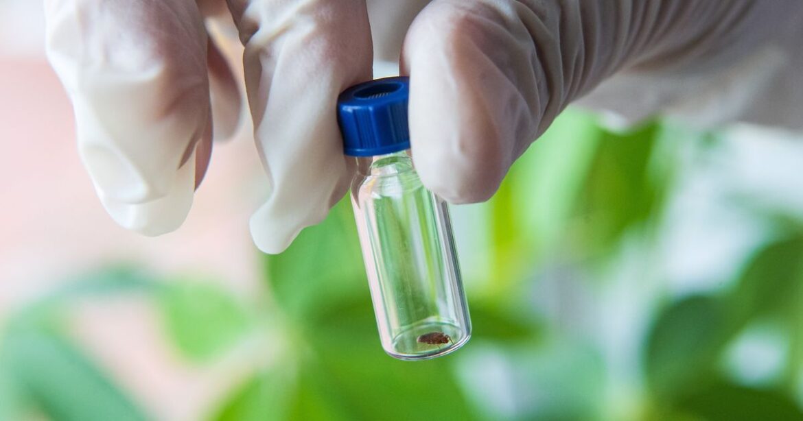 The 1 Smell That Signals Bed Bugs Are In Your Home