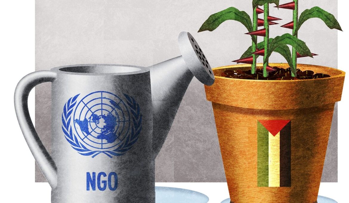 The hidden role of international NGOs in Gaza humanitarian crisis