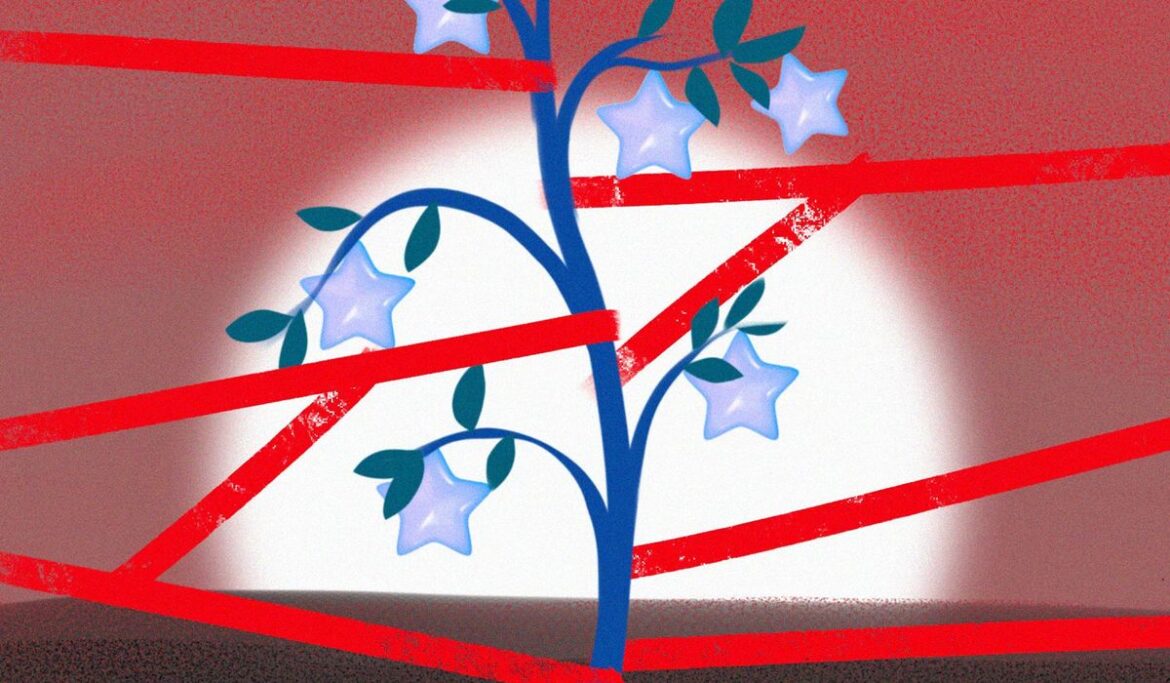 U.N. Climate Change Conference proves the world needs American agriculture