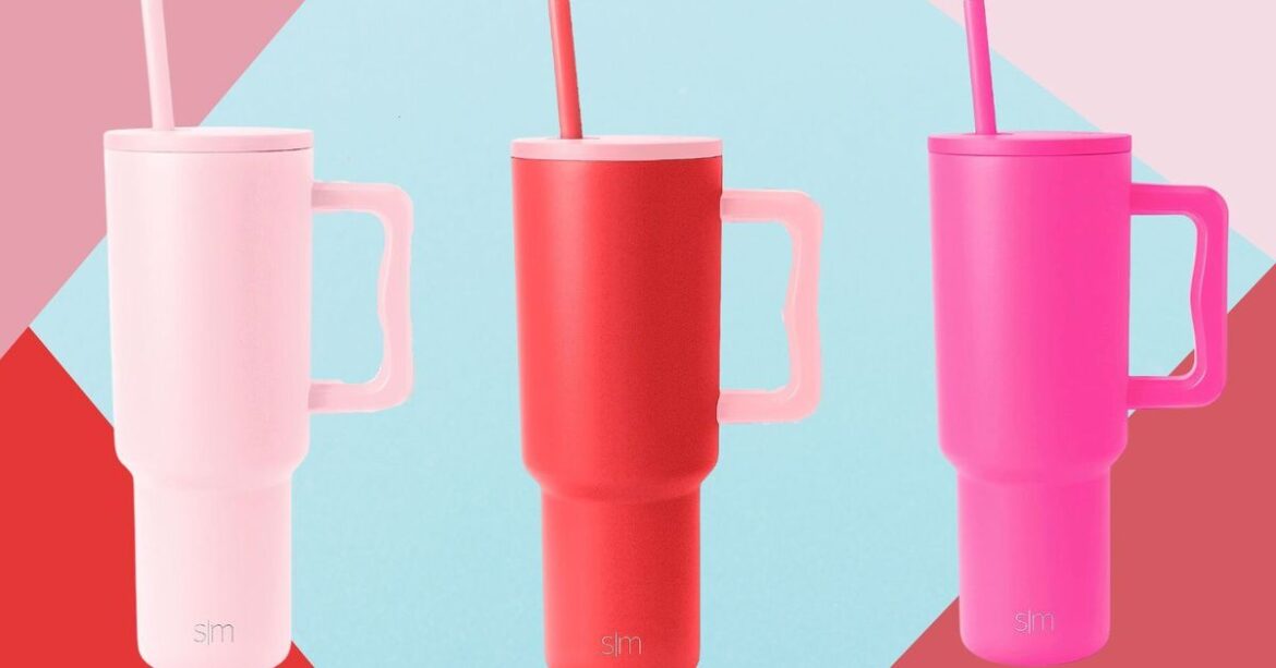 This Stanley Tumbler Lookalike Is $30 And Just As Good