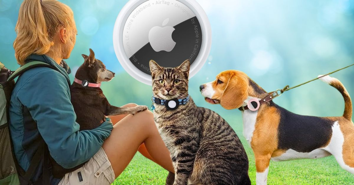 Why I’m Using AirTags To Track My Pet