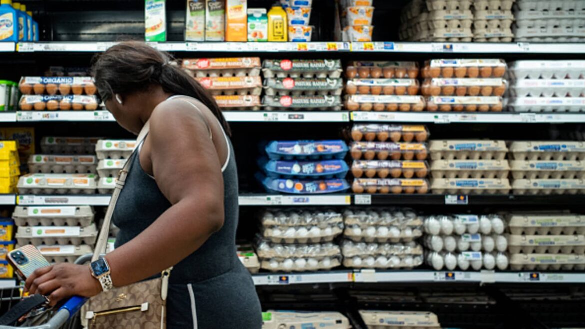 Why egg prices are increasing again