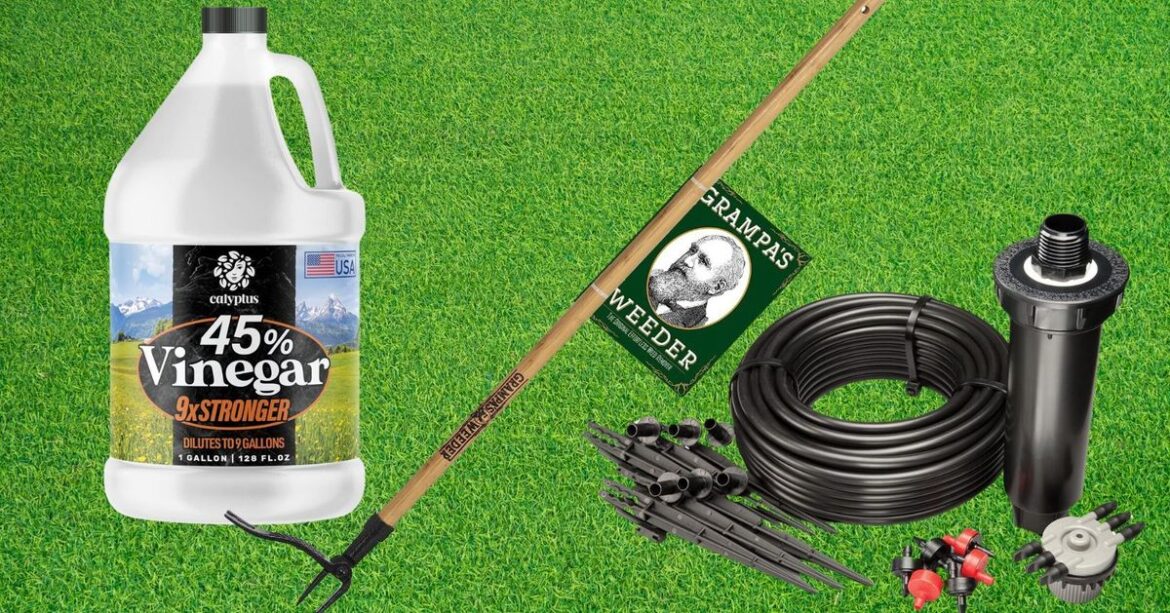 7 Best Natural Weed Deterrents To Use Instead Of Roundup