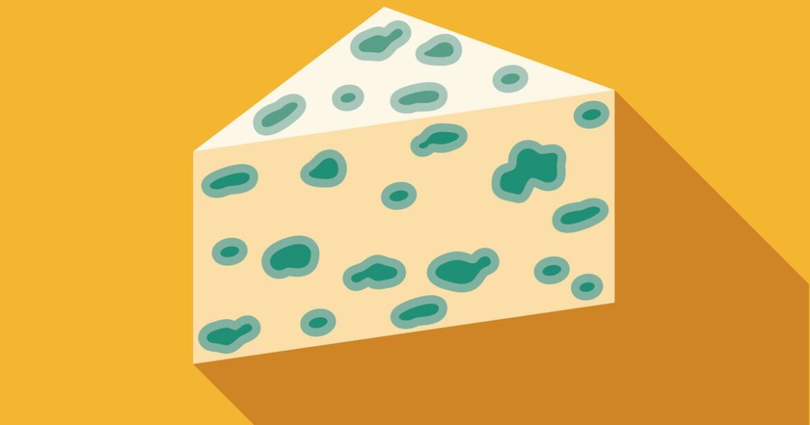 Is It Safe To Eat Moldy Cheese?
