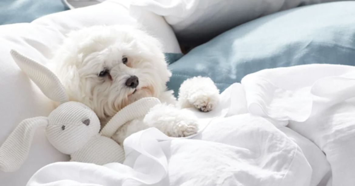 Affordable Linen Sheets Even A Bedding Expert Approves Of