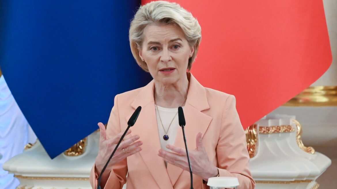 EU should discuss using frozen Russian assets to aid Ukraine military: von der Leyen