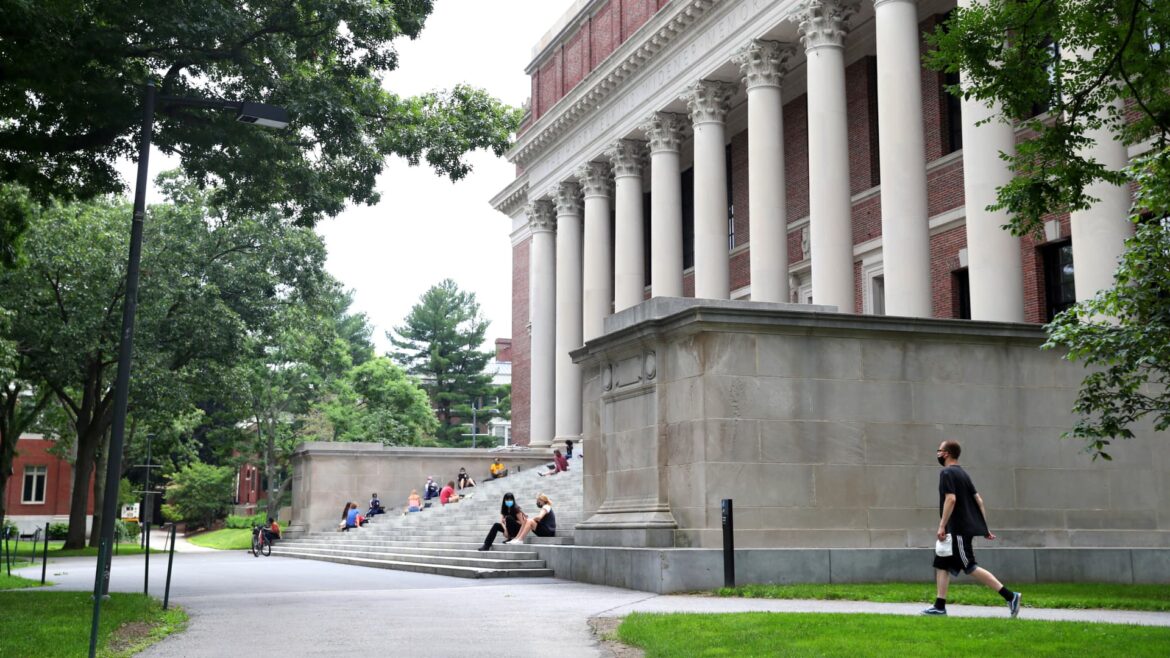 Harvard is the No. 1 dream school, Princeton Review poll finds