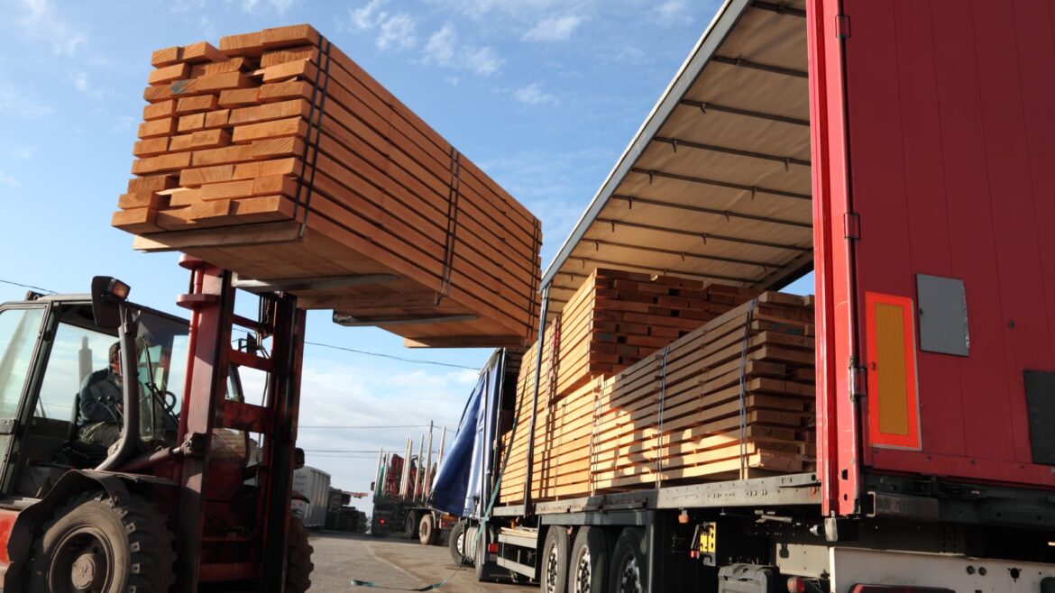 Immigration 'taking pressure off' the job market, U.S. economy: Expert