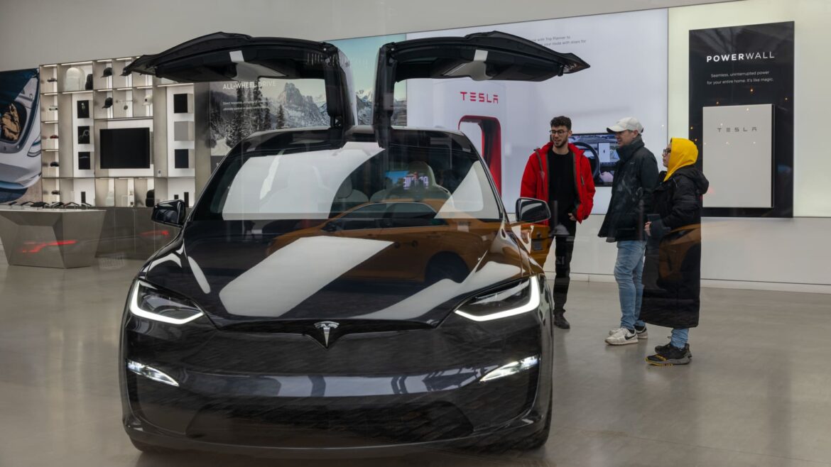 Tesla bull cuts price target; says EV-maker may lose money in coming quarters