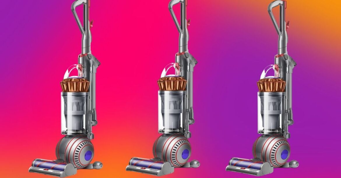 The Dyson Ball Animal Vacuum Is $100 Off Right Now