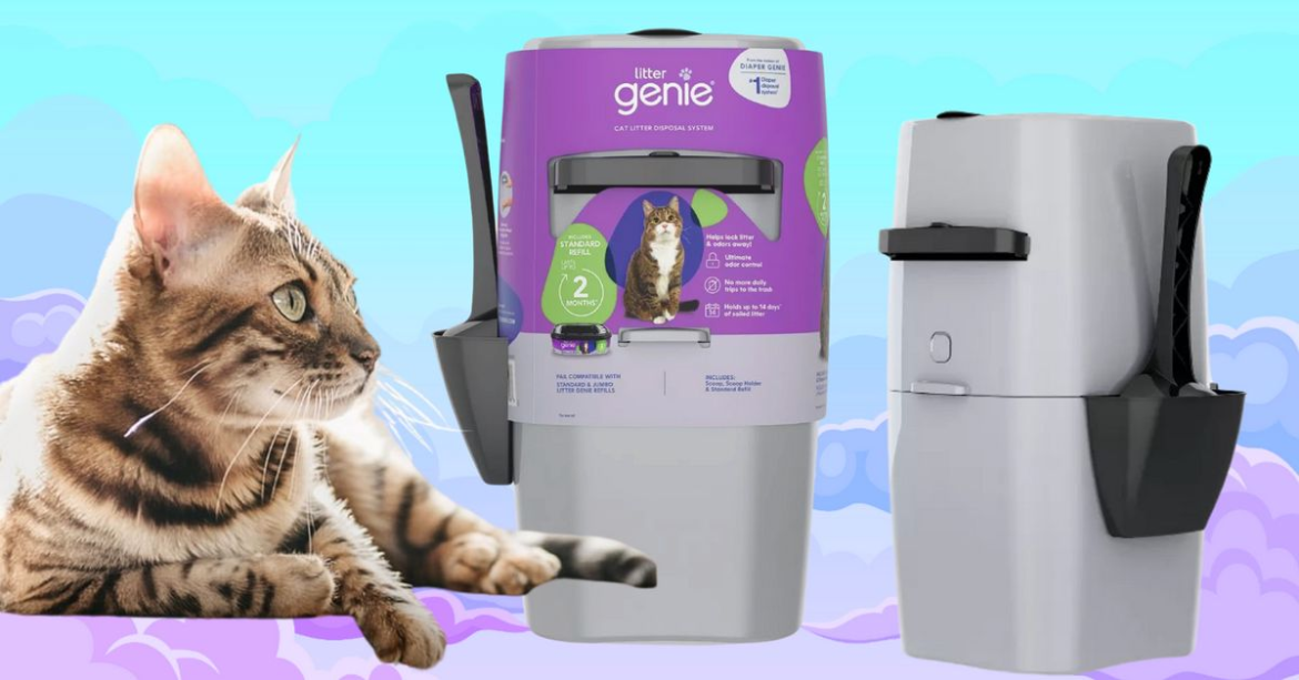 This ‘Genie’ Pail Is The Solution To Scooping Cat Litter