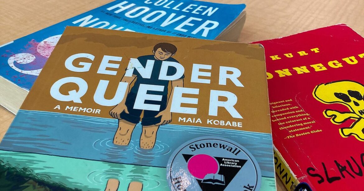 American Library Association President Emily Drabinski: 'It's Been Devastating' Fighting Book Bans